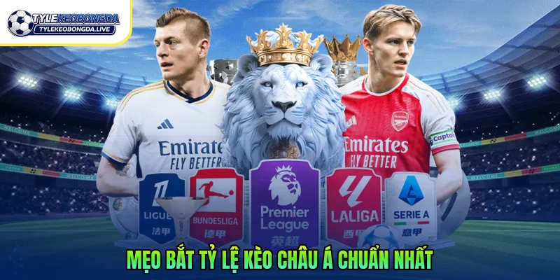 Kèo Châu Á - Hướng Dẫn Đặt Cược Hiệu Quả Chính Xác 2026 3 Mẹo bắt tỷ lệ kèo châu á chuẩn nhất