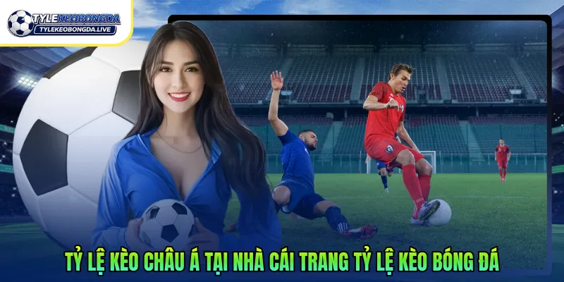 Kèo Châu Á - Hướng Dẫn Đặt Cược Hiệu Quả Chính Xác 2026 2 Tỷ lệ kèo châu á tại nhà cái trang tỷ lệ kèo bóng đá